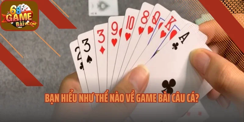 Bạn hiểu như thế nào về game bài câu cá?
