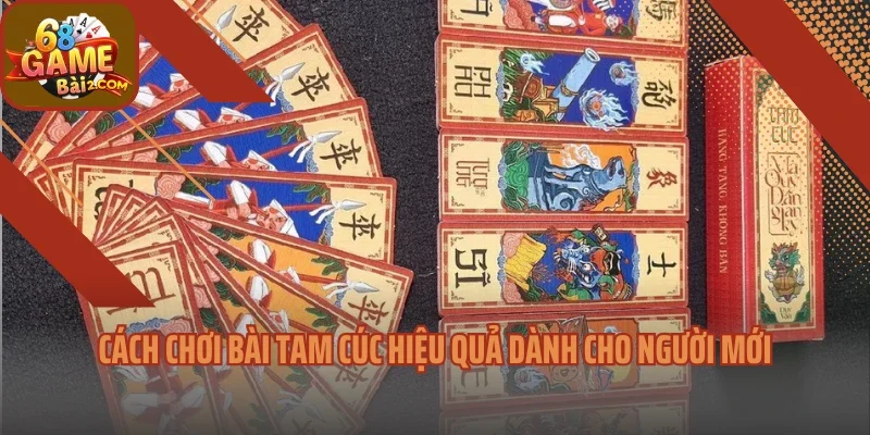 Cách chơi bài tam cúc hiệu quả dành cho người mới