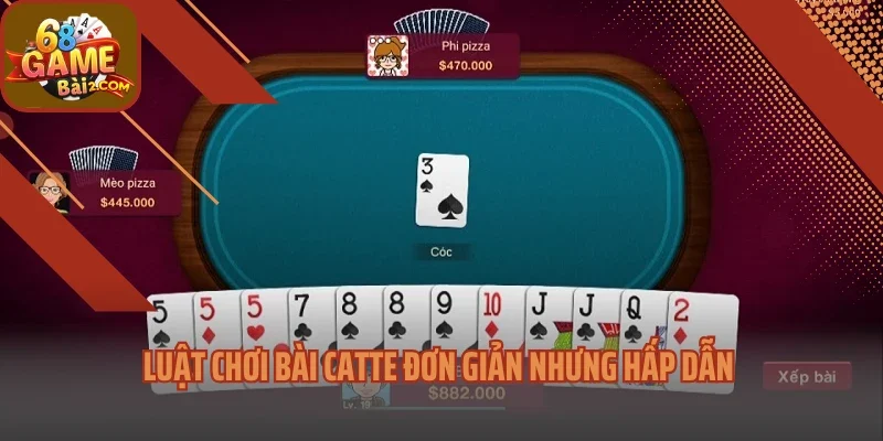Luật chơi bài catte đơn giản nhưng hấp dẫn