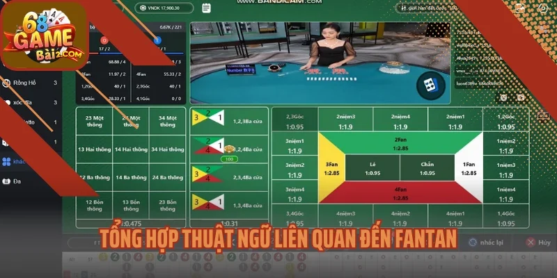 Tổng hợp thuật ngữ liên quan đến Fantan